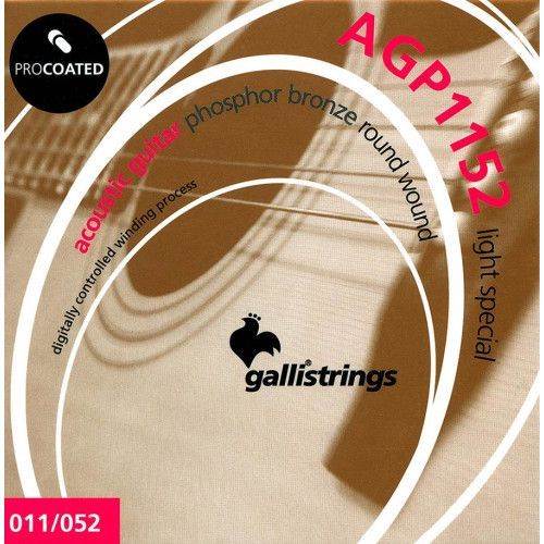 string set acoustic, phosphor bronze wound, specia