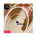 string set acoustic, phosphor bronze wound, specia
