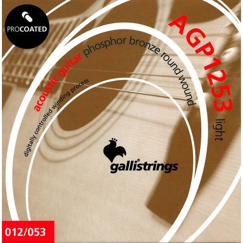 string set acoustic, phosphor bronze wound, light,