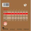 string set acoustic, phosphor bronze wound, light,