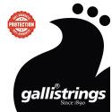 string set acoustic, phosphor bronze wound, light,