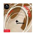 string set acoustic, phosphor bronze wound, light,