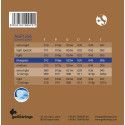 string set acoustic, phosphor bronze wound, bluegr