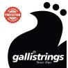 string set acoustic, phosphor bronze wound, bluegr