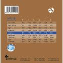 string set acoustic, phosphor bronze wound, medium