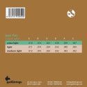 string set acoustic tape wound, extra light, 010-0