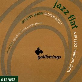 string set acoustic tape wound, medium light, 012-