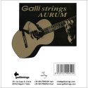 string set classic, gold bronze wound, clear nylon