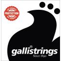 string set classic, gold bronze wound, clear nylon