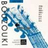 string set bouzouki, silverplated, 011-011-014-014