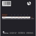 string set electric, 'signature Paolo Anessi, stee