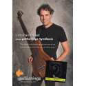 6-string set electric bass, Udo Pannekeet Custom,