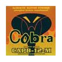 string set acoustic, phosphor bronze wound medium,