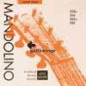 string set mandolin, phospor bronze wound, light,