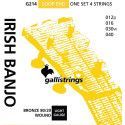 string set Irish tuning tenor banjo bronze wound,