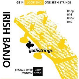 string set Irish tuning tenor banjo bronze wound,