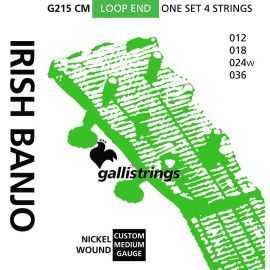 string set Irish tuning tenor banjo nickel wound,