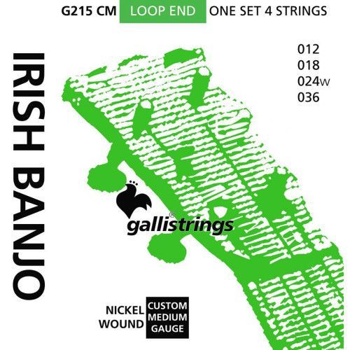 string set Irish tuning tenor banjo nickel wound,