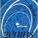 string set classic, hard tension, 029-033-041-030-