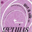 string set classic, hard tension, 025-031-037-030-