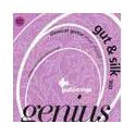 string set classic, hard tension, 025-031-037-030-