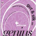 string set classic, light tension, 024-031-037-026