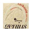 string set classic, normal tension