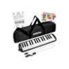 melodica black, incl. case and mouthpiece