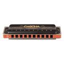 professional blues harmonica in D, incl. case and
