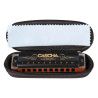 professional blues harmonica in G, incl. case and
