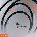 string set electric bass, polished stainless steel