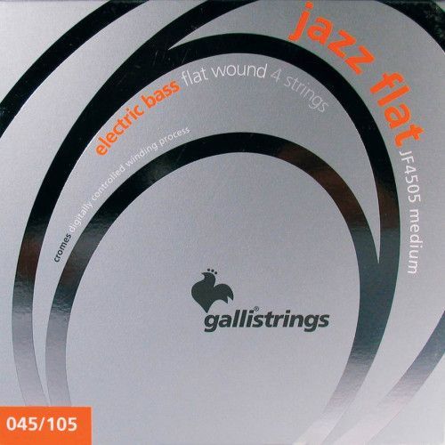 string set electric bass, polished stainless steel