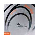 string set electric bass, polished stainless steel