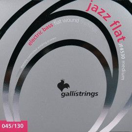 string set electric 5-string bass, polished stainl