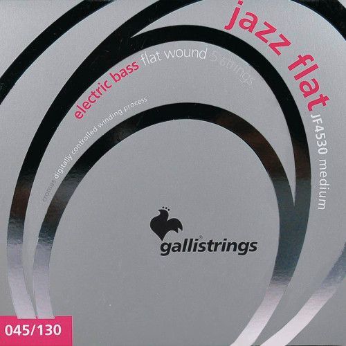 string set electric 5-string bass, polished stainl