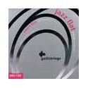 string set electric 5-string bass, polished stainl