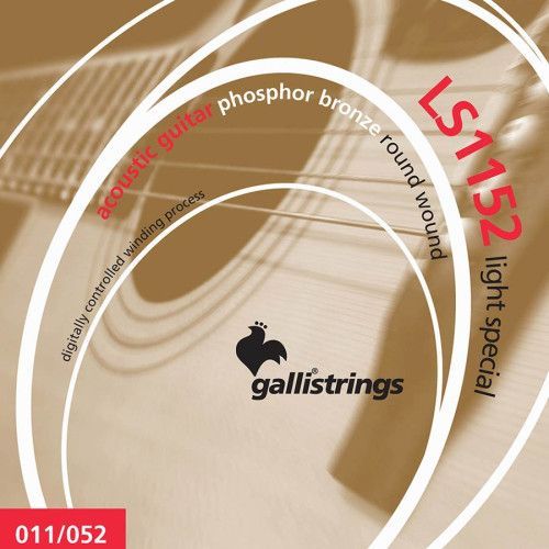 string set acoustic phosphor bronze wound, light s