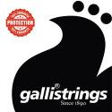 string set acoustic phosphor bronze wound, light s
