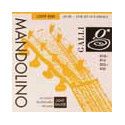 string set mandolin, silverplated wound, light 010