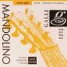 string set mandolin, silverplated wound, light 010