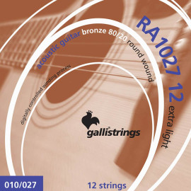12-string set acoustic 80/20 bronze, light, 2x010-