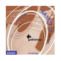 12-string set acoustic 80/20 bronze, light, 2x010-