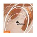 string set acoustic 80/20 bronze wound, extra ligh