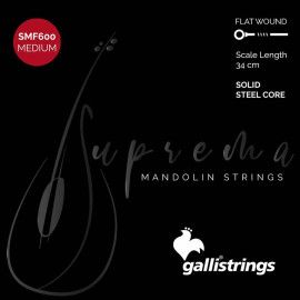 string set mandolin, chrome steel flatwound, mediu