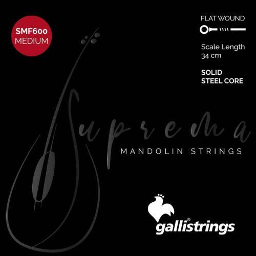 string set mandolin, chrome steel flatwound, mediu