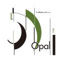 Cuerda viola For-Tune Opal Green 2ª Re kevlar-plata