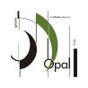 Cuerda viola For-Tune Opal Green 2ª Re kevlar-plata