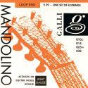 string set mandolin, nickel wound light, 010-014-0