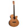 GUITARRA ACÚSTICA TANGLEWOOD SUPER FOLK CUTAWAY