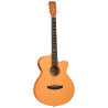 GUITARRA ACÚSTICA TANGLEWOOD SUPER FOLK ROADSTER GT CUTAWAY
